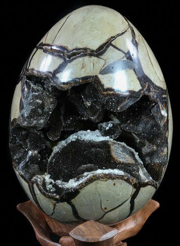 Septarian Dragon Egg Geode - Black Crystals #55486